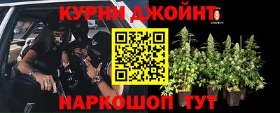 сатива Пугачёв