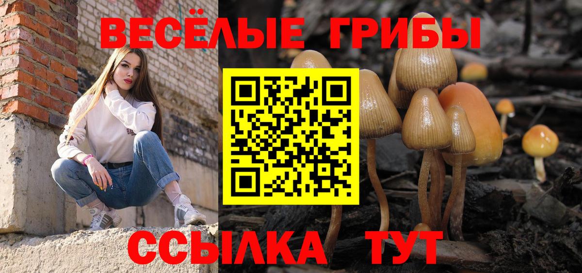Рославль  Галлюциногенные грибы мухоморы  закладки  Вход с VPN 